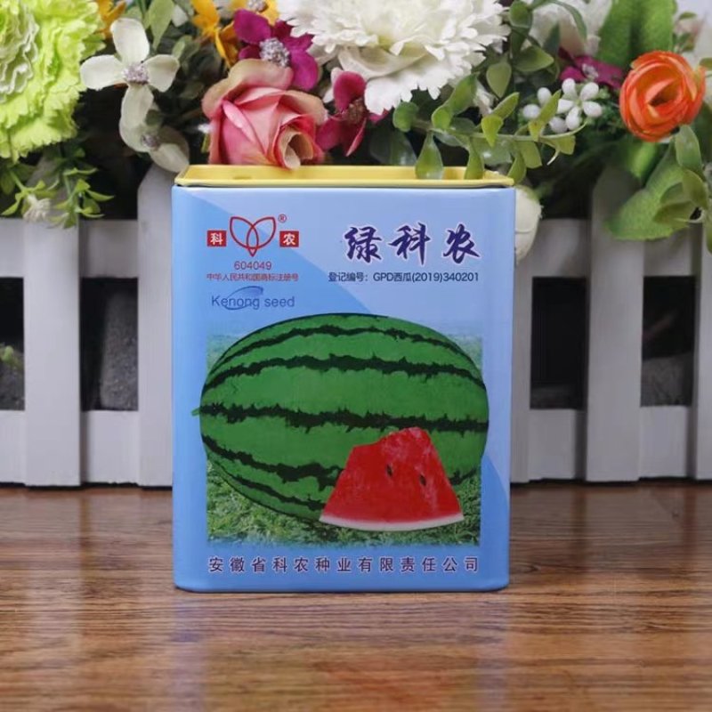 科农西瓜种子育苗场基地用种科农二号十号九号早佳黑皮