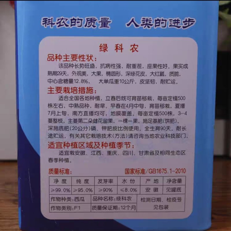 科农西瓜种子育苗场基地用种科农二号十号九号早佳黑皮