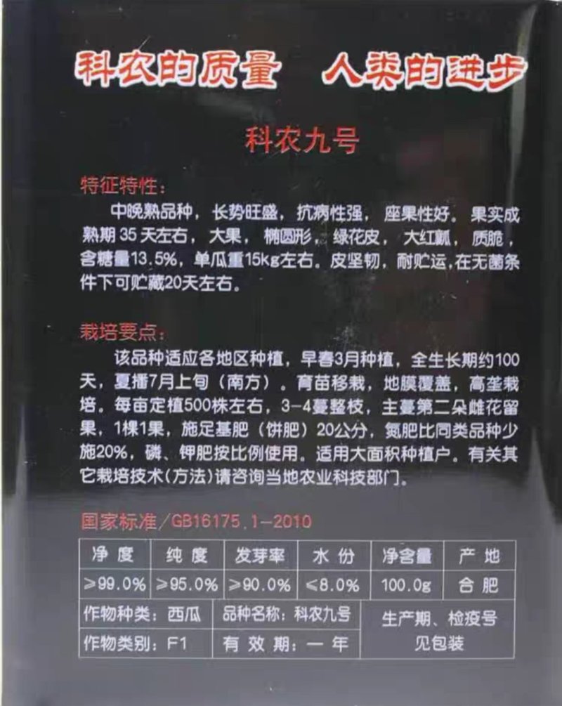 科农西瓜种子育苗场基地用种科农二号十号九号早佳黑皮