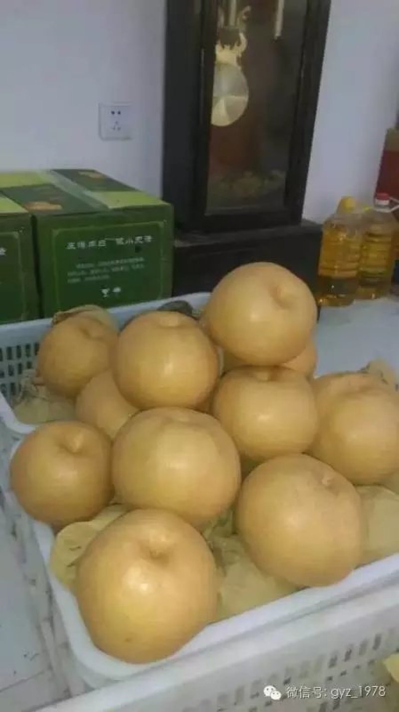 吉梨果，口感好，香甜可口，个大核小，