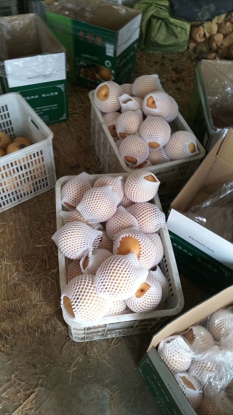 吉梨果，口感好，香甜可口，个大核小，