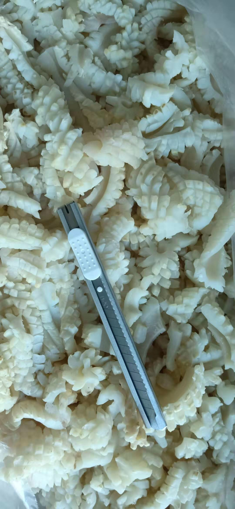 鱿鱼残花碎肉