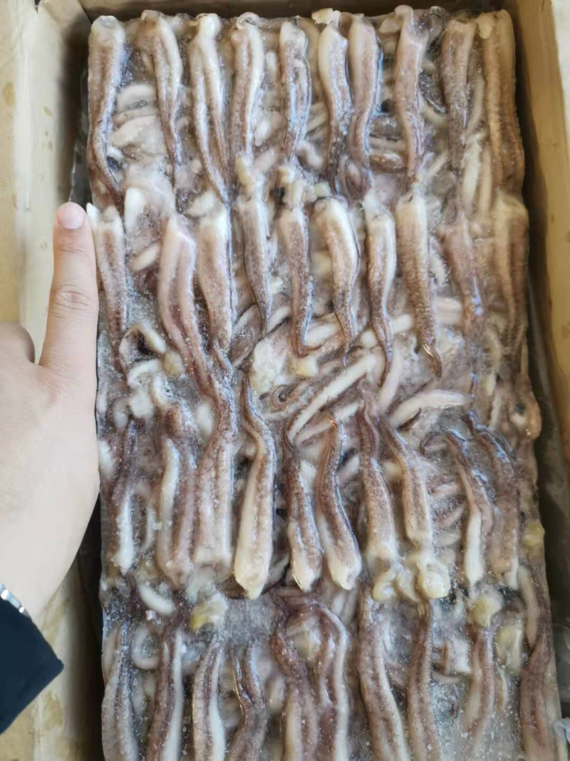 阿鱿二本足，阿根廷鱿鱼须