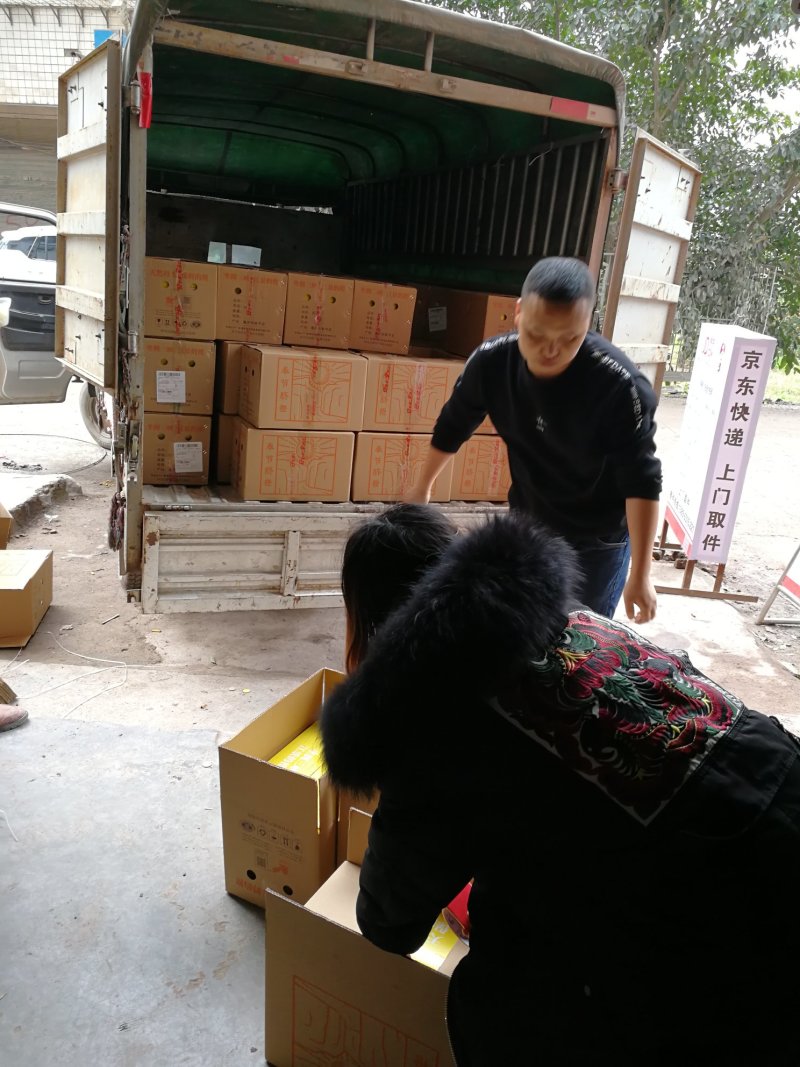橙子，诚招代理一件代发~奉节脐橙礼品盒好礼橙交
