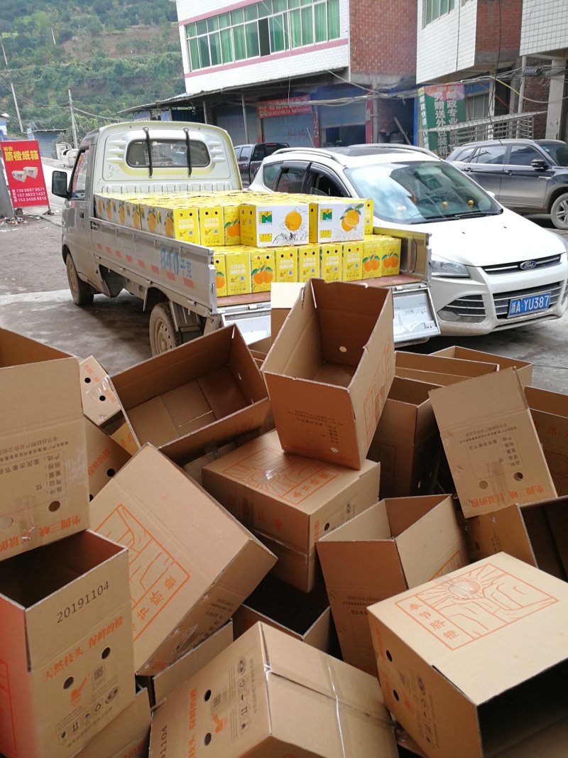橙子，诚招代理一件代发~奉节脐橙礼品盒好礼橙交
