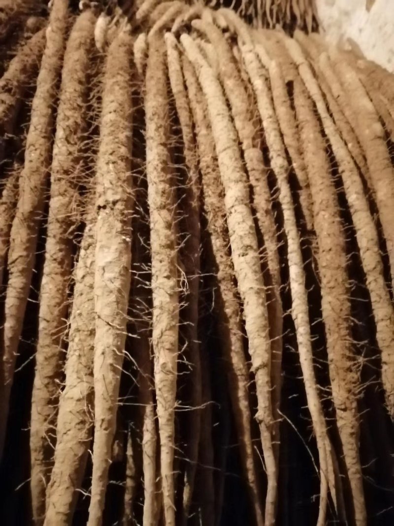 麻山药，双棒，紫药，棒药，一路，二路，全都现货，地头装货