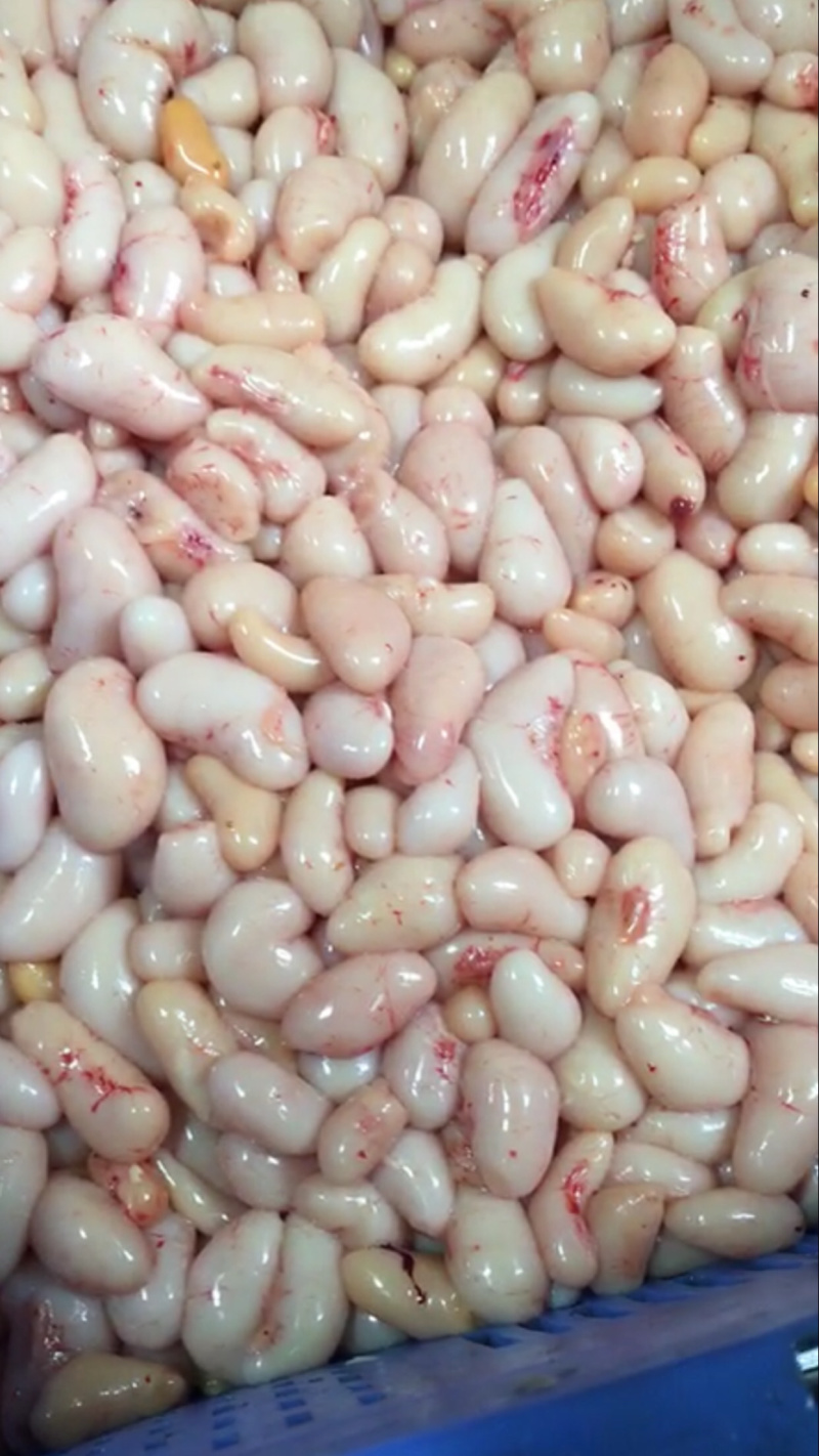 大量供应鸡腰子鸡子鸡卵鸡睾丸量大从优欢迎批发