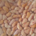 大量供应鸡腰子鸡子鸡卵鸡睾丸量大从优欢迎批发