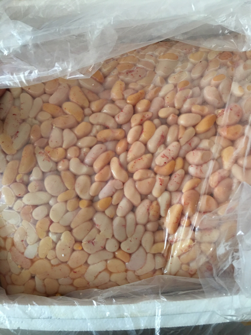 大量供应鸡腰子鸡子鸡卵鸡睾丸量大从优欢迎批发