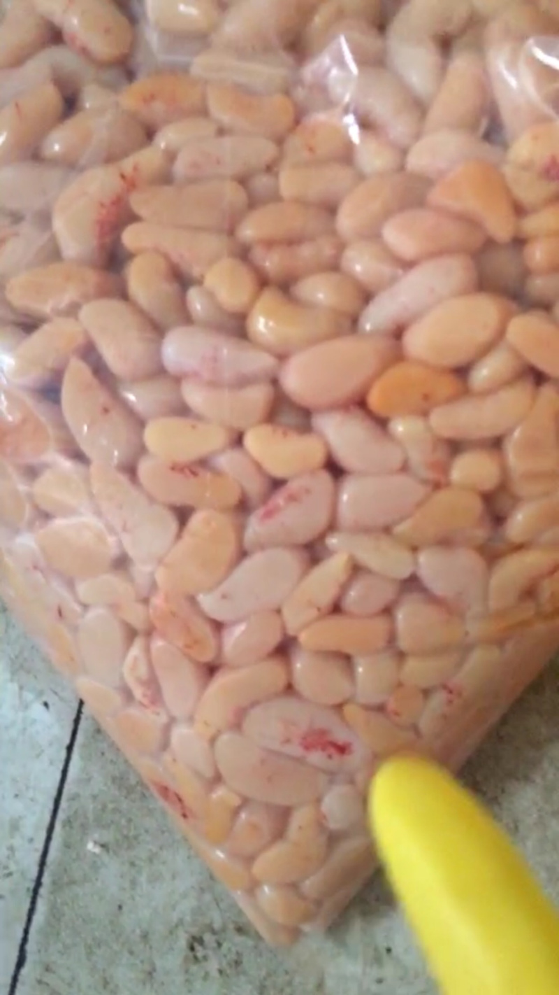 大量供应鸡腰子鸡子鸡卵鸡睾丸量大从优欢迎批发