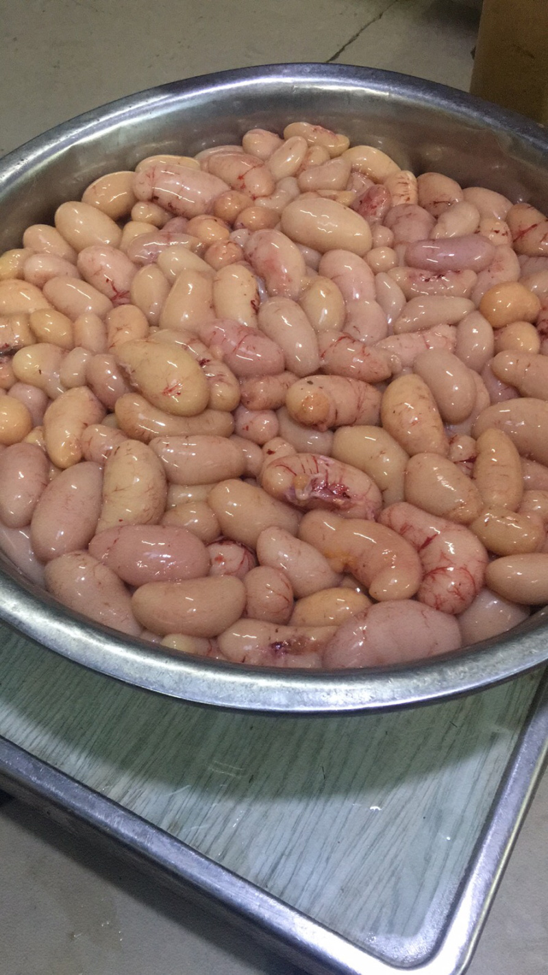大量供应鸡腰子鸡子鸡卵鸡睾丸量大从优欢迎批发