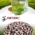 茶种子新鲜茶籽茶果信阳毛尖绿茶籽种植采早茶叶树种子