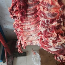 纯干鲜牛肉，长期加工，