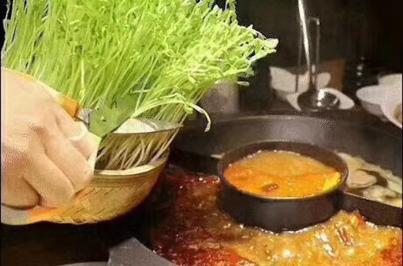 松柳芽苗菜包装、活体、各种芽苗菜都有在种植