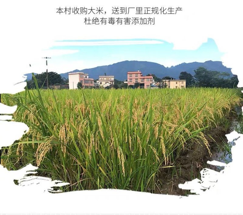 桂林米粉家庭食用装/样品装