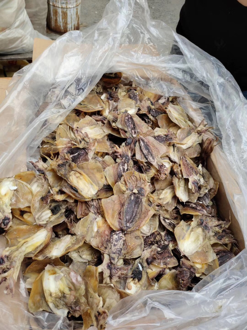 墨鱼干新鲜出炉长期有货保质保量量大优惠