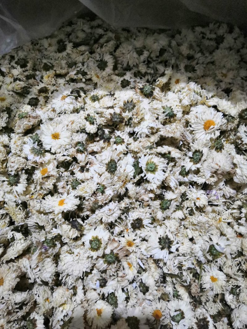 【年货节】菊花茶滁菊贡菊白菊花茶滁菊特产