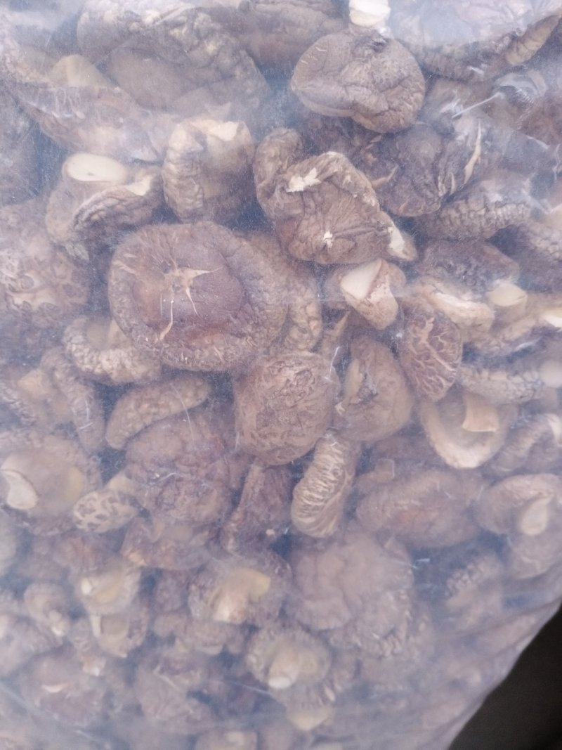 各种规格纯生态木头干香菇