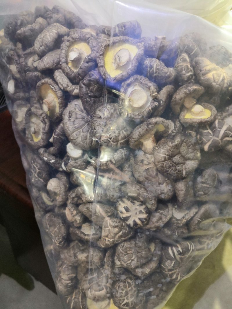 各种规格纯生态木头干香菇