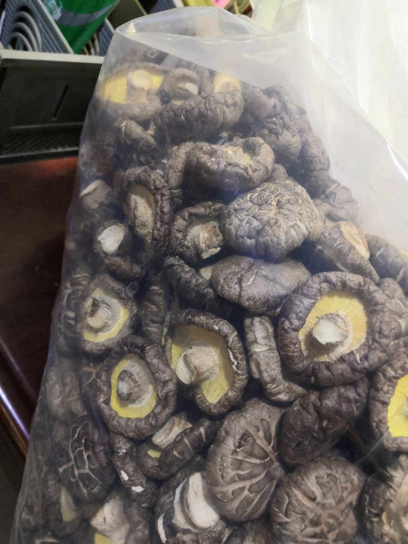 各种规格纯生态木头干香菇