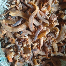 威海饲料鱼干，熟鱼干，鱼干，蛋白45以上，干度好可以粉碎