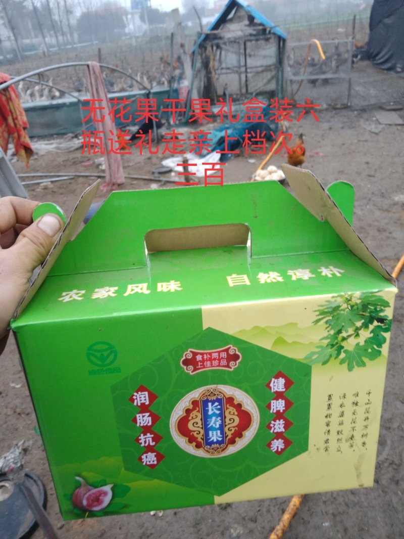 无花果干果有瓶装\盒装\袋装