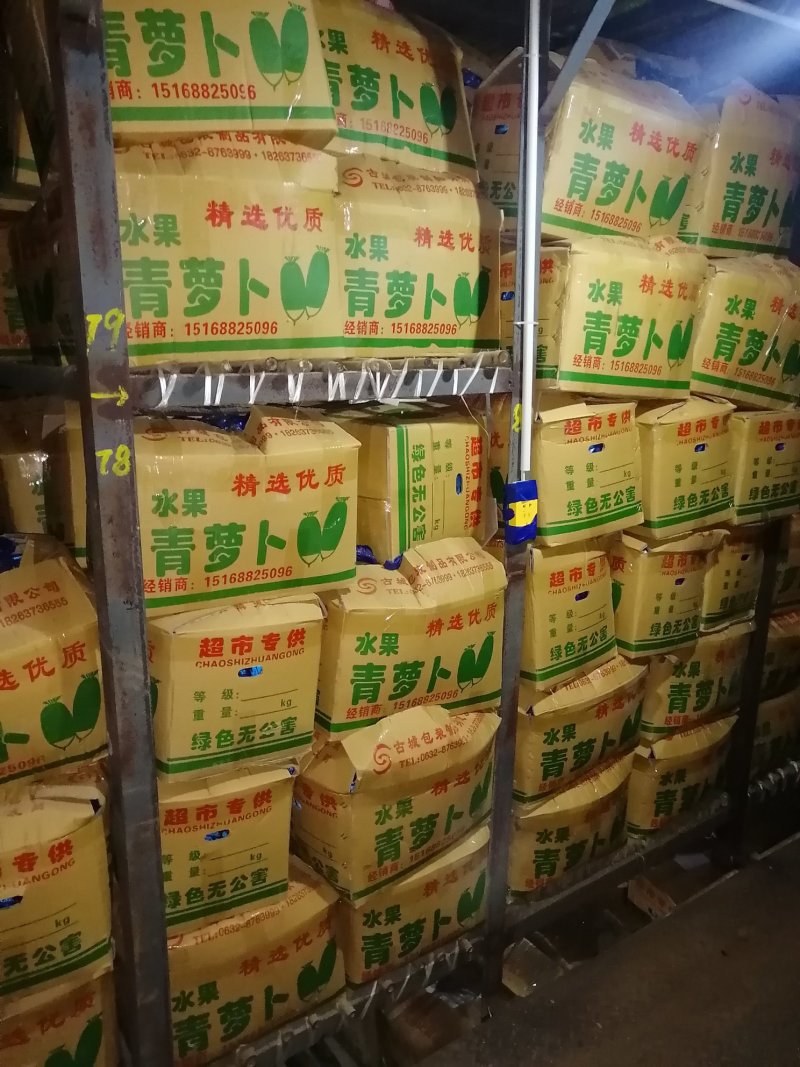 水果萝卜，山东肥城，青萝卜，袋装，箱装货源充足