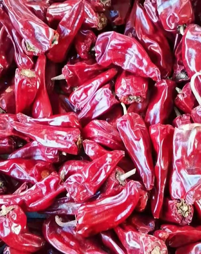 出售优质九成干以上北京红干辣椒，货量多，质量好