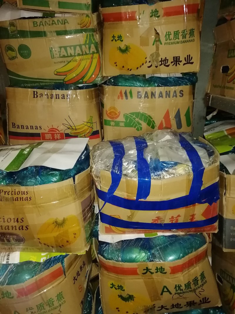 水果萝卜，山东肥城，青萝卜，袋装，箱装货源充足