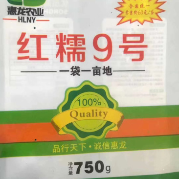 红糯9号种子
