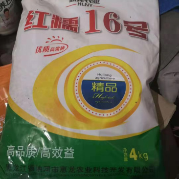 红糯16号糯高粱种子杂交种酿酒专用高粱种子