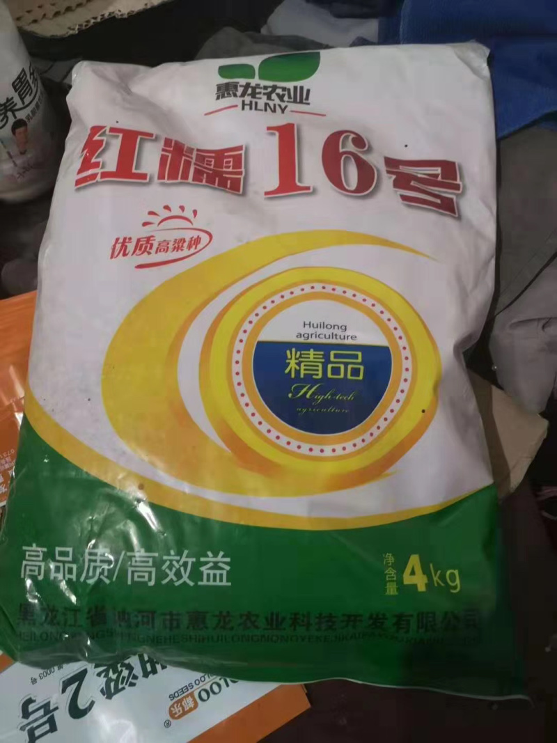 红糯16号糯高粱种子杂交种酿酒专用高粱种子