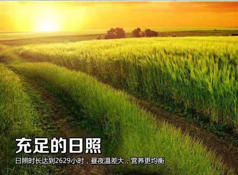 新米上市！黑龙江东北五常原粮稻花香2号大米精装礼盒5kg