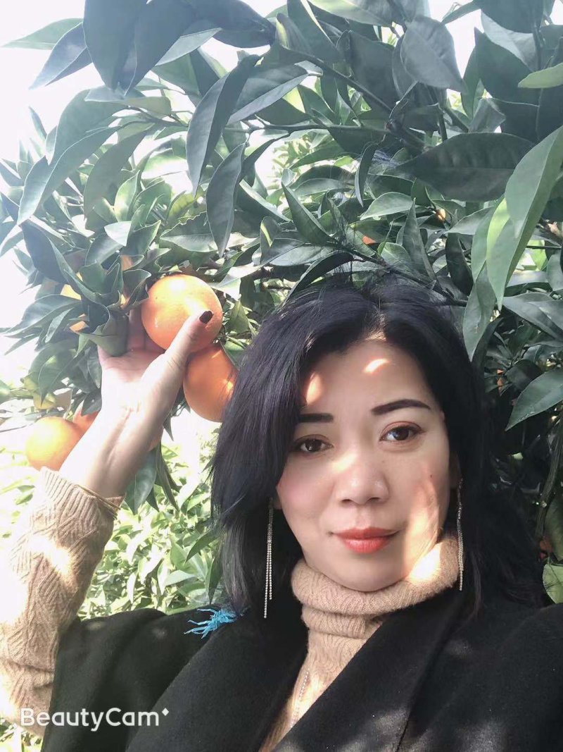 长虹脐橙，产地一手货源，诚信经营，物美价廉，看园订货。