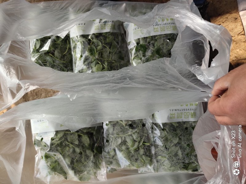 新鲜石斛苗特色菜精品菜石斛菜西餐凉拌盘饰食材基地批发配送