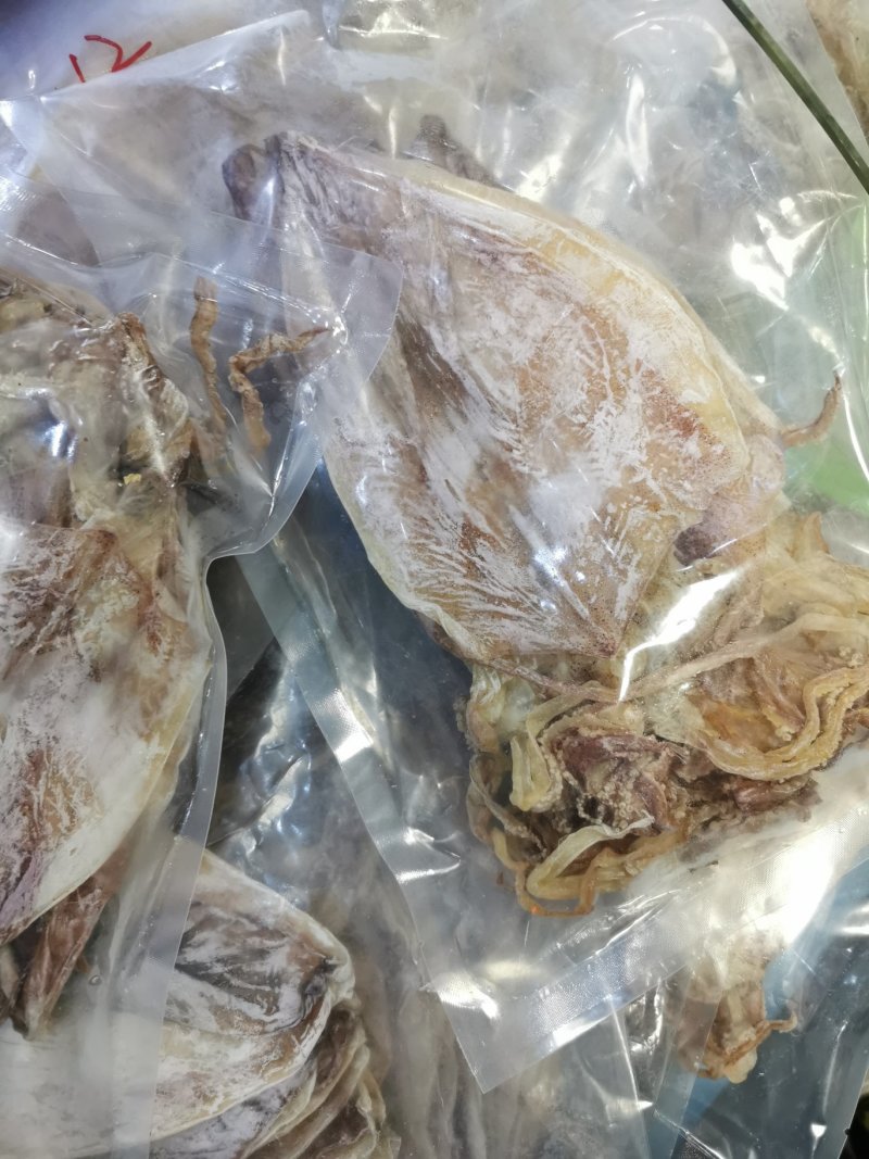 2AAAA优质烧烤鱿鱼芥末鱿鱼广东鱿鱼可以零售