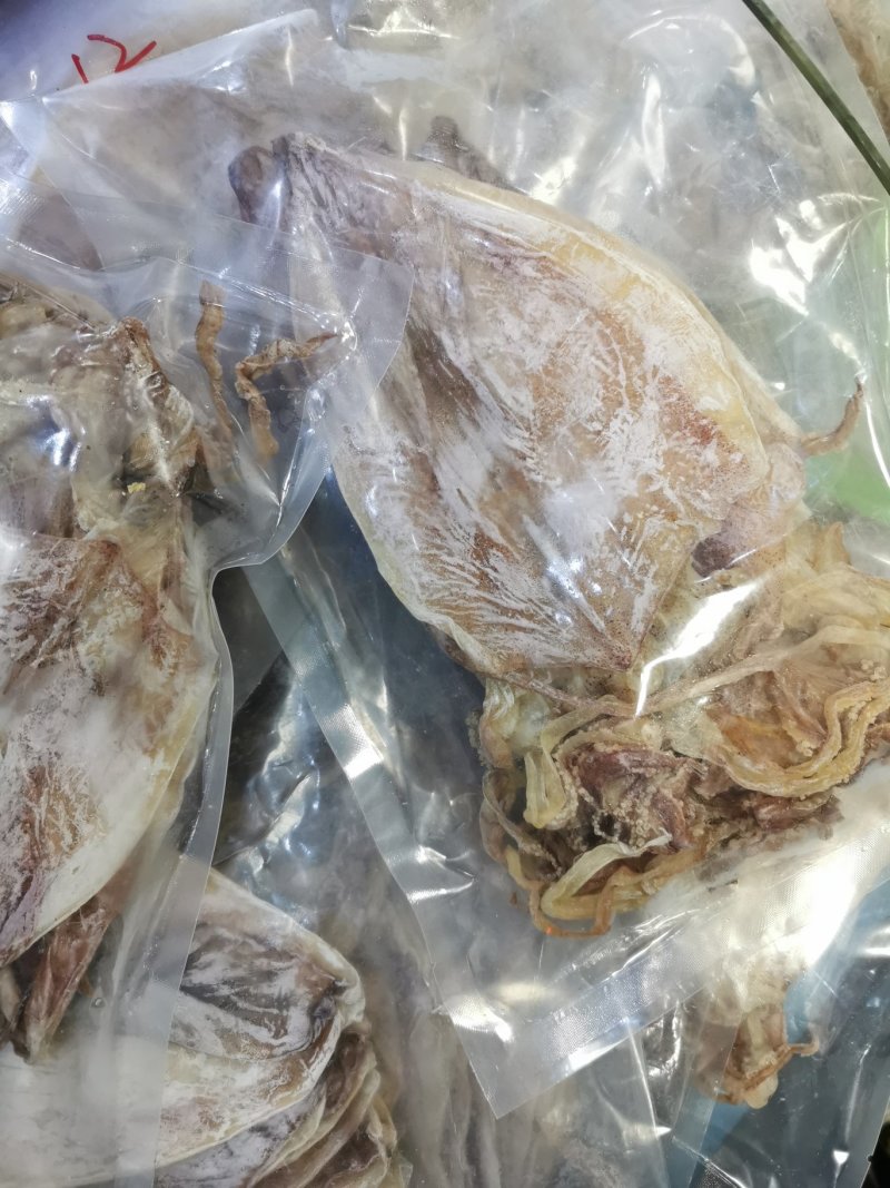 2AAAA优质烧烤鱿鱼芥末鱿鱼广东鱿鱼可以零售
