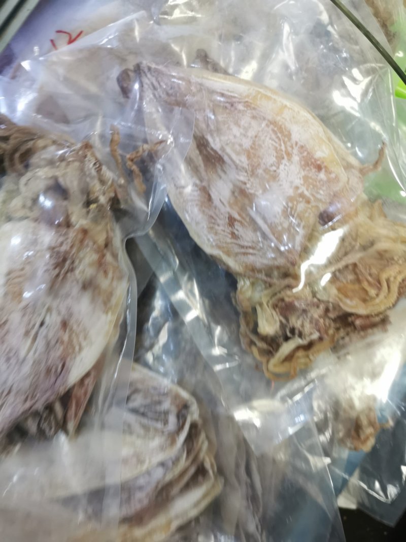 2AAAA优质烧烤鱿鱼芥末鱿鱼广东鱿鱼可以零售