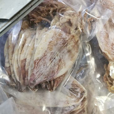 2AAAA优质烧烤鱿鱼芥末鱿鱼广东鱿鱼可以零售