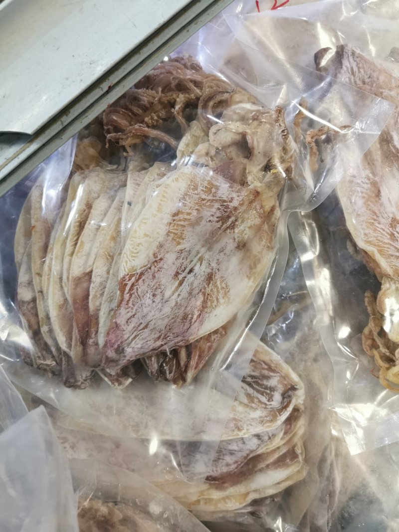 2AAAA优质烧烤鱿鱼芥末鱿鱼广东鱿鱼可以零售