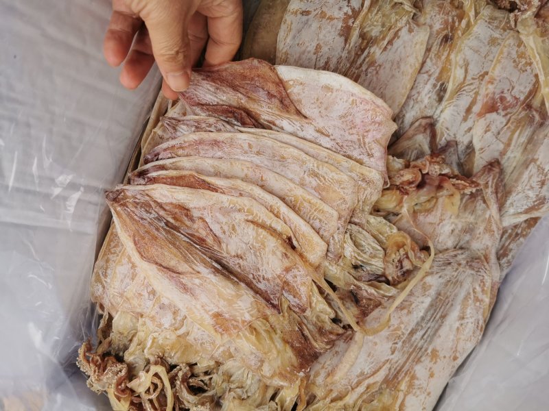 2AAAA优质烧烤鱿鱼芥末鱿鱼广东鱿鱼可以零售