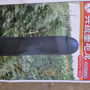 黑皮冬瓜种子，冬瓜种子，墨地龙基地直发品质保证
