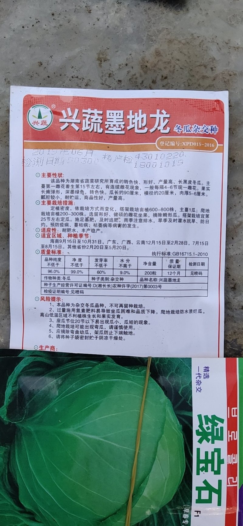 黑皮冬瓜种子，冬瓜种子，墨地龙基地直发品质保证