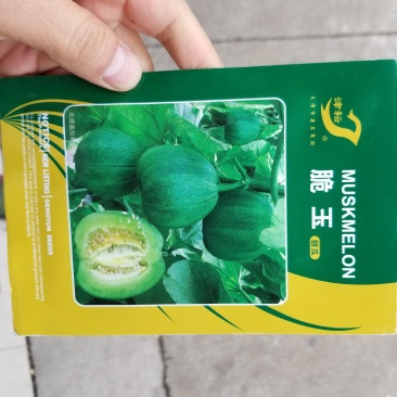 一代交配，5克脆玉甜瓜种子