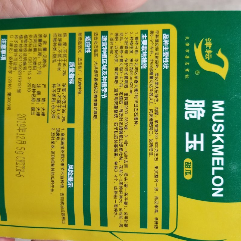 一代交配，5克脆玉甜瓜种子
