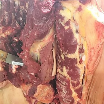 正宗驴肉