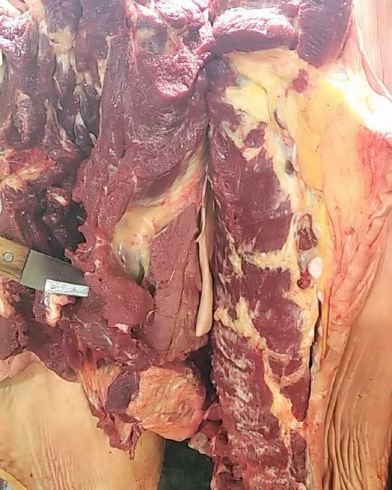 正宗驴肉