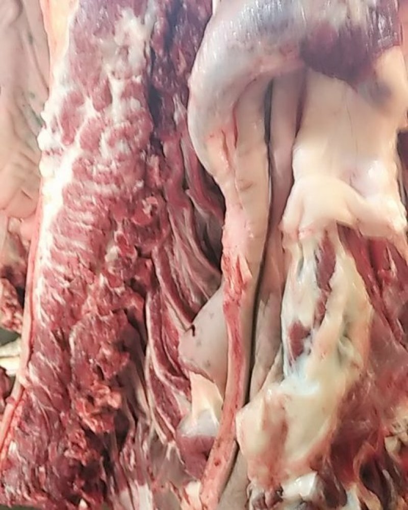 正宗驴肉