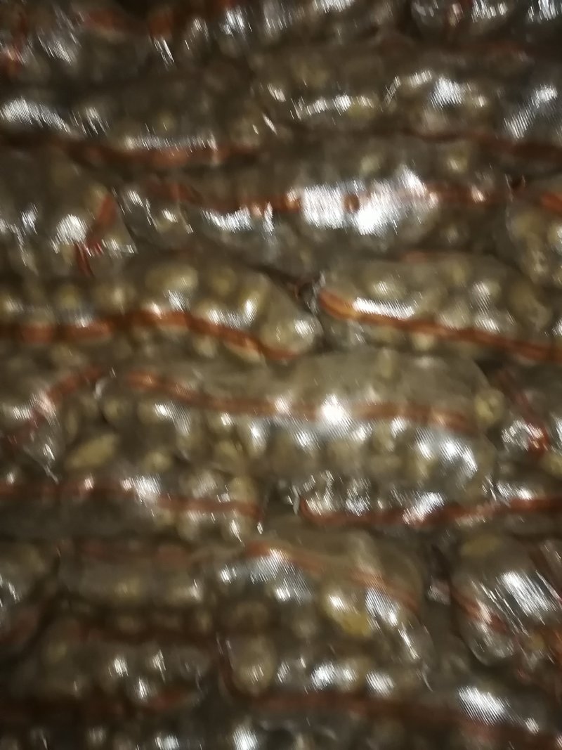 土豆大量供应