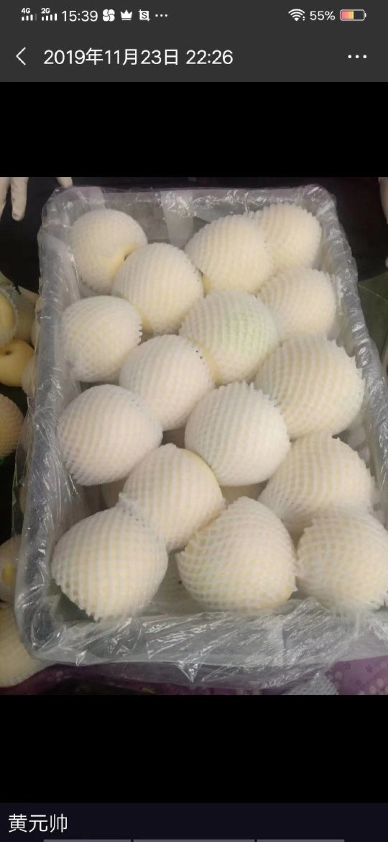 热卖辽宁绥中黄元帅个头大皮毛干净白